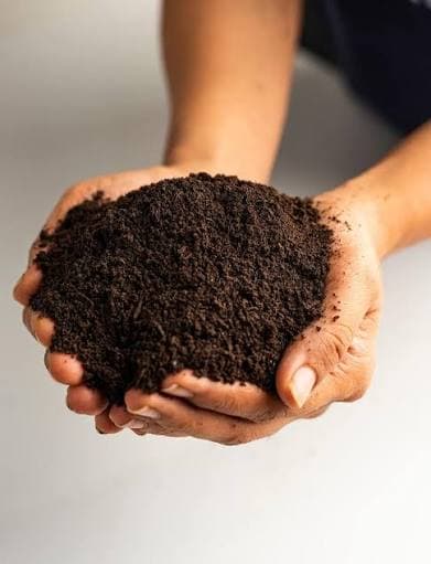 Two open hands holding a double handful of dark, crumbly organic vermicompost